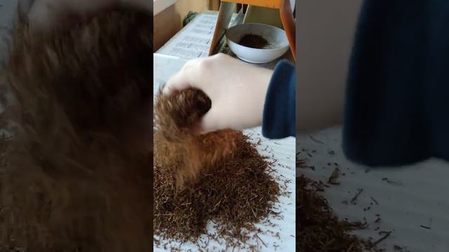 Проба табака Бамбук ферментированый . смотреть онлайн