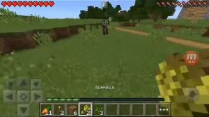 ВЛОГ: Minecraft PE. НАШЛИ ДЕРЕВНЮ! Завели животных! БЕЗ МОДОВ!