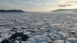 Музыка для фона l музыка для магазина без рекламы