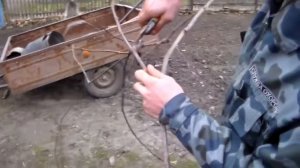 Весенняя обрезка винограда на арке  ,самый простой способ .