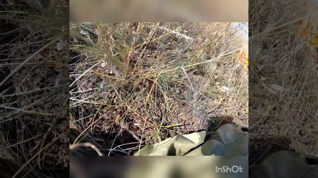 Охота на сурка На грани .mp4 смотреть онлайн