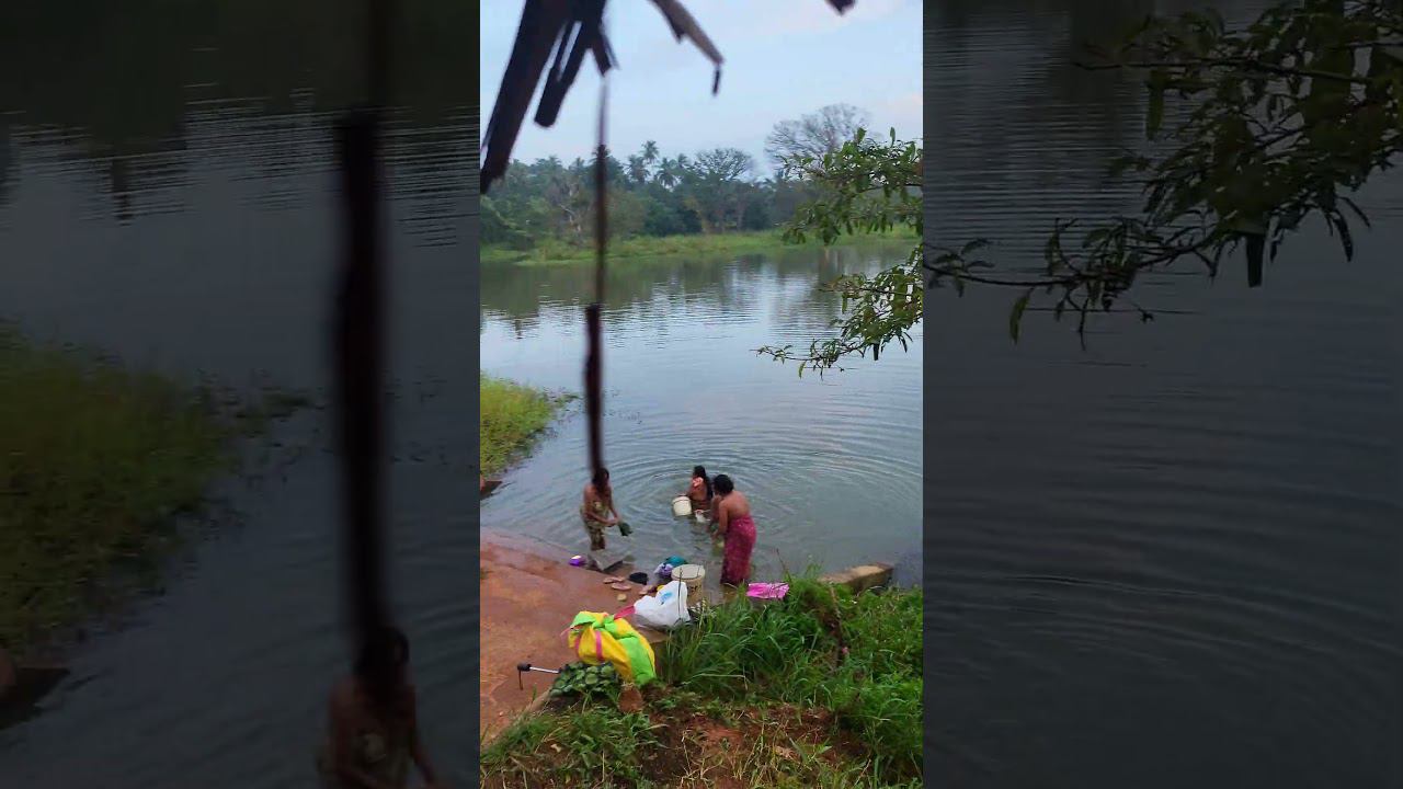 Такси на Шри-Ланке. В аутентичный ресторан доя своих..) смотреть онлайн