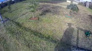 Как построить забор из Профлиста на старые столбы и деревянные прожилины.