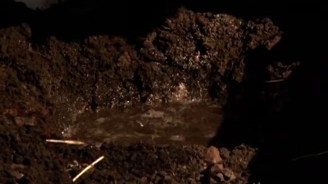 Как ухаживать за флоксами. смотреть онлайн