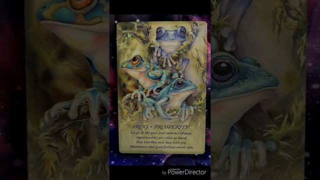 Spirit of the Animals Oracle by Jody Bergsma flip through смотреть онлайн