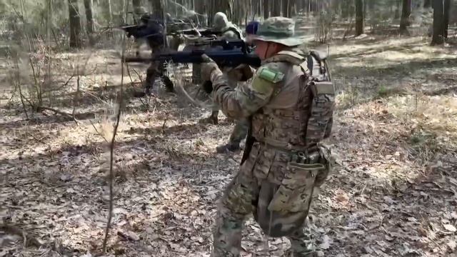 Занятие курсов в лесу смотреть онлайн