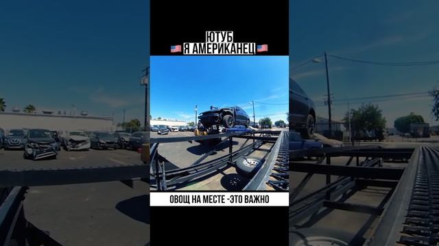 овощ на месте  это важно