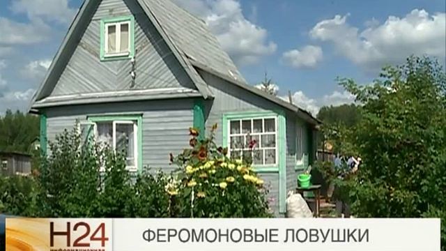 Борьба с калифорнийской щитовкой смотреть онлайн