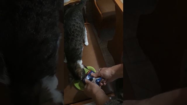Felix суп?тест пройден? смотреть онлайн