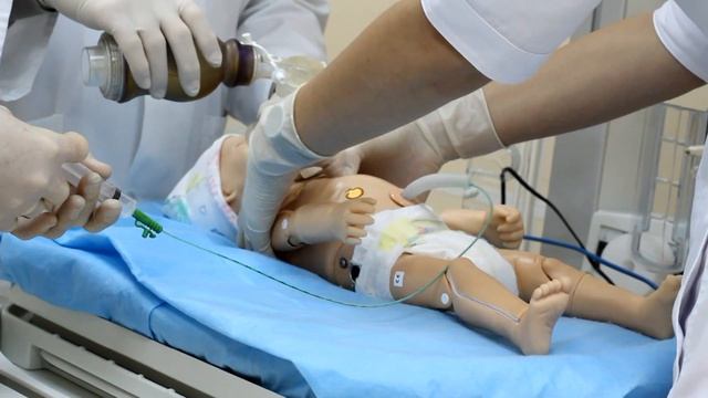 Кубанский государственный медицинский университет смотреть онлайн