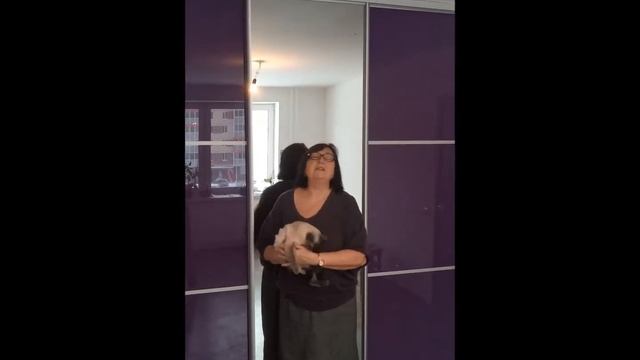 Двери-купе (отзыв о компании "Фабрика Фасадов"). смотреть онлайн