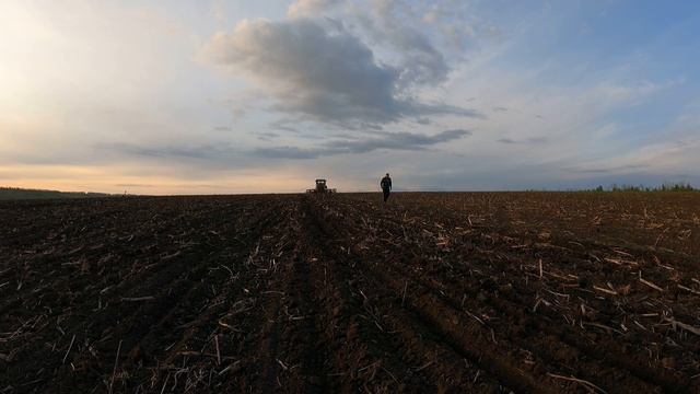 Трактор Т-74 . Культивируем перед посевом... смотреть онлайн