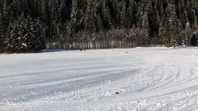 Schneecoursing Stubaital '13 Dober-Kopp Yenki Thunder смотреть онлайн