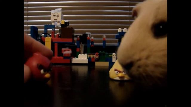 A Ngrybirdsteam toons Season 2 Episode 9 Butterscotch the Guinea Pig смотреть онлайн