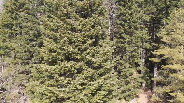 Заповедная сказка кордон Гузерипль смотреть онлайн