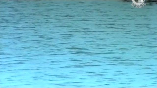 Китайская кухня - тофу (соевый творог) смотреть онлайн