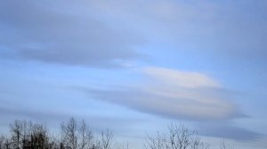 nikon d3100 в 2021 video test Full HD