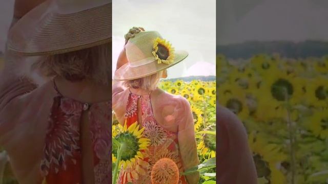 Голосовая открытка. Поздравление С Днём Рождения женщине #shorts смотреть онлайн