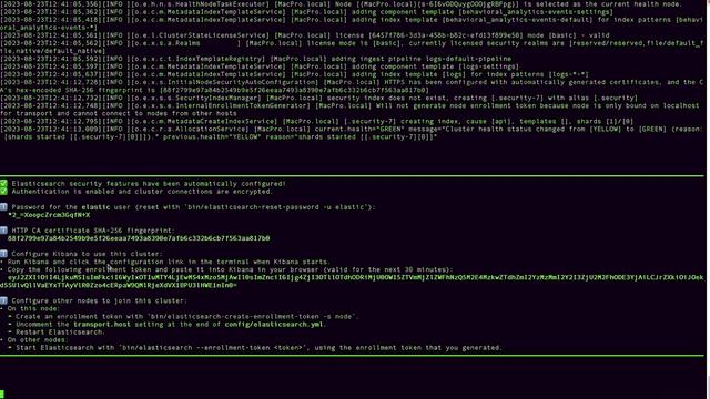 ElasticSearch 8 Setup/ Installation in MacOS смотреть онлайн