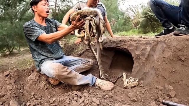 Expert Catch 100 Dragon Snakes Out of Residential Areas смотреть онлайн