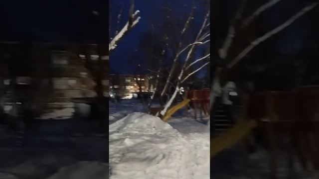 #Инта#конец января 2024#