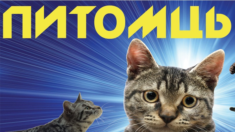 Мои домашние питомцы  .Кошки .Домик в деревни  от FANTAZIA