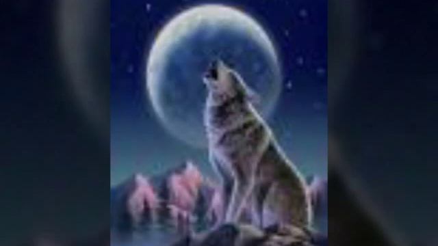 Луна, волки смотреть онлайн