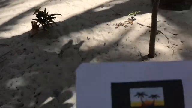 Боракай 2019 #3 пляжи смотреть онлайн