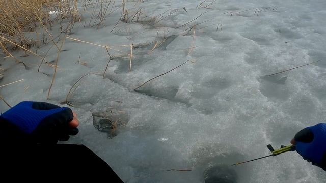 В поисках крупного карася по последнему льду... Озеро Щучье!!!! смотреть онлайн