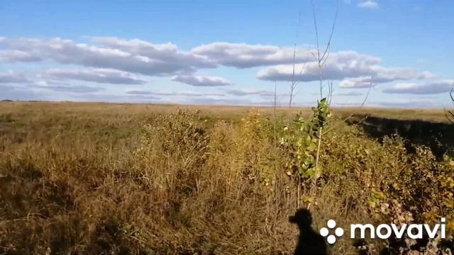 Что было то прошло. Отправился за грибами. Рассказы из жизни. смотреть онлайн
