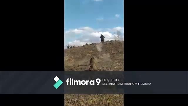 ОГНЕННАЯ ПОКАТУШКА НА ИРБИС ТТР125 ПО БОЛОТУ смотреть онлайн