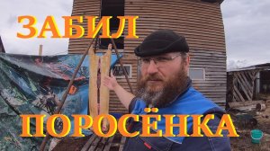 Шабашка в деревне .Забой свиньи.