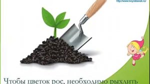 Как растет цветок - видео для детей