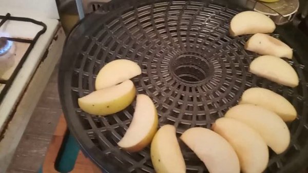 моя электросушилка REDMOND RFD-0157  #мойобзорредмонд #redmond #редмонд