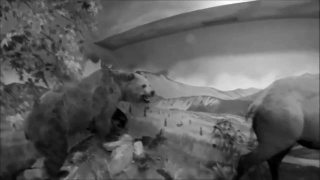 Венгрия  Кестхей  Музей охоты /  Magyarország.  Keszthely . Vadászati Múzeum