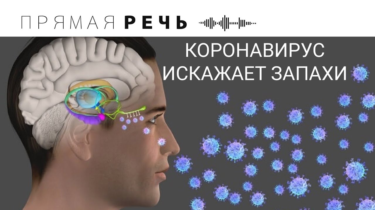КОРОНАВИРУС ИСКАЖАЕТ ЗАПАХИ смотреть онлайн