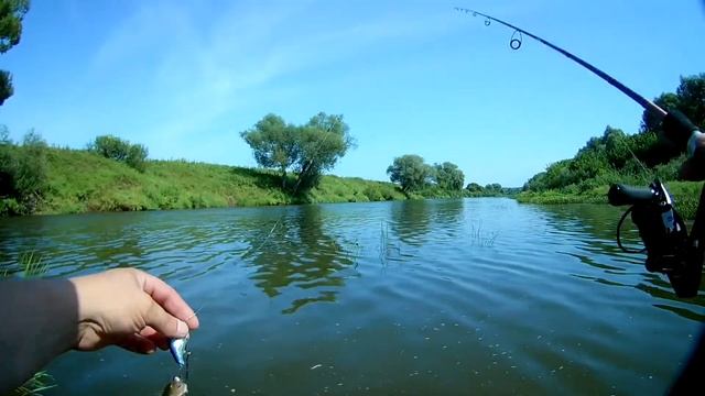 Ловля голавля спиннингом на перекате. Рыбалка на реке Жиздра. смотреть онлайн