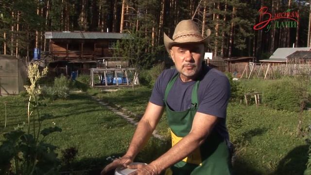"В гостях у Дачи" № 58 от 24.06.2017 смотреть онлайн