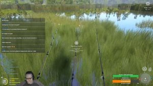 Всем зрителям сыр и выползок в подарок! Ловим линя на медвежке