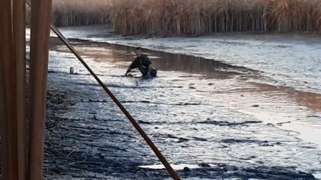 Рыбалка в Астрахани, руками, толстолобик, сазан, амур!!! смотреть онлайн