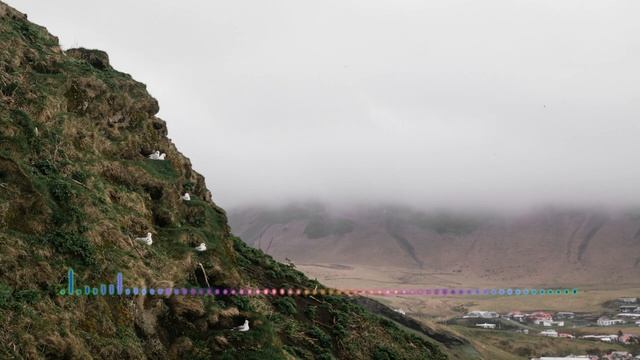 Ганапи - Даргинская попурри 2023 смотреть онлайн