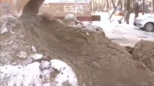 Культурист (А.  Лаэртский)