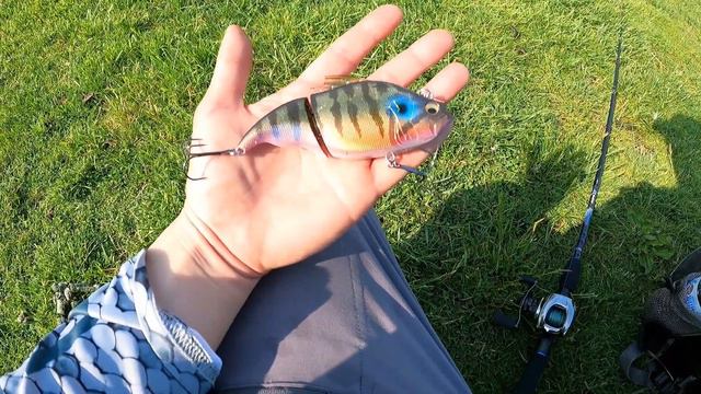 Amazing Post Spawn Bass Fishing from Bank Using Glidebaits - Megabass Vatalion - Jackall Gantarel J смотреть онлайн