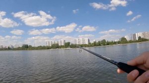 Hearty Rise Zander Game XT Limited ZGXT 922MH