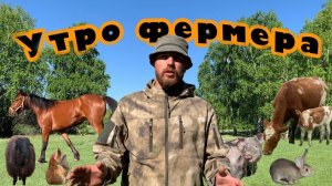 Мое утро в деревне с животными. Утро молодого фермера.