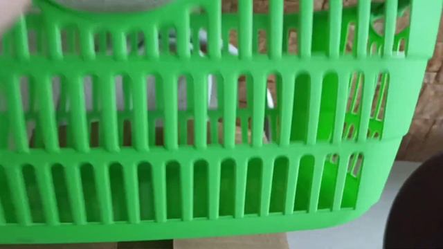 ?СВЕТОФОР ? ГАЛАМАРТ ? ПОКУПКИ ?