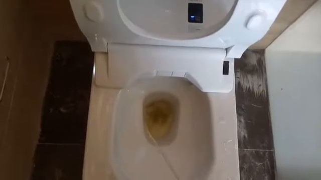 Умный японский унитаз Toto за 500 тыс. рублей