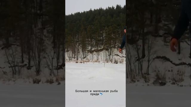 Не может быть, рыба есть!