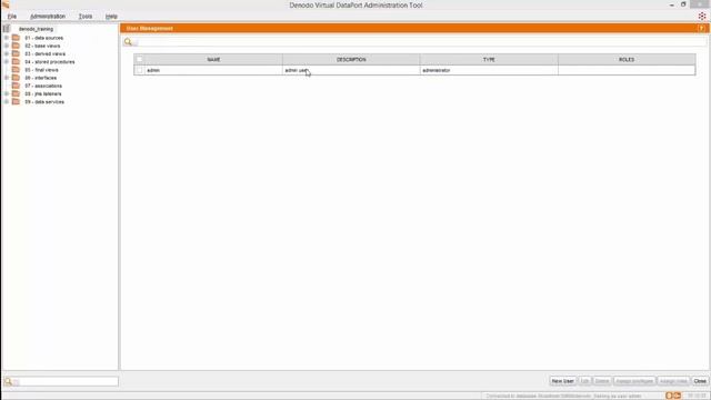 How to manage users and roles with Virtual DataPort смотреть онлайн