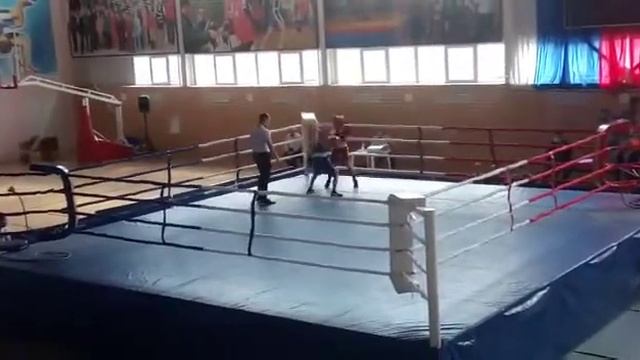 самсон николаенко